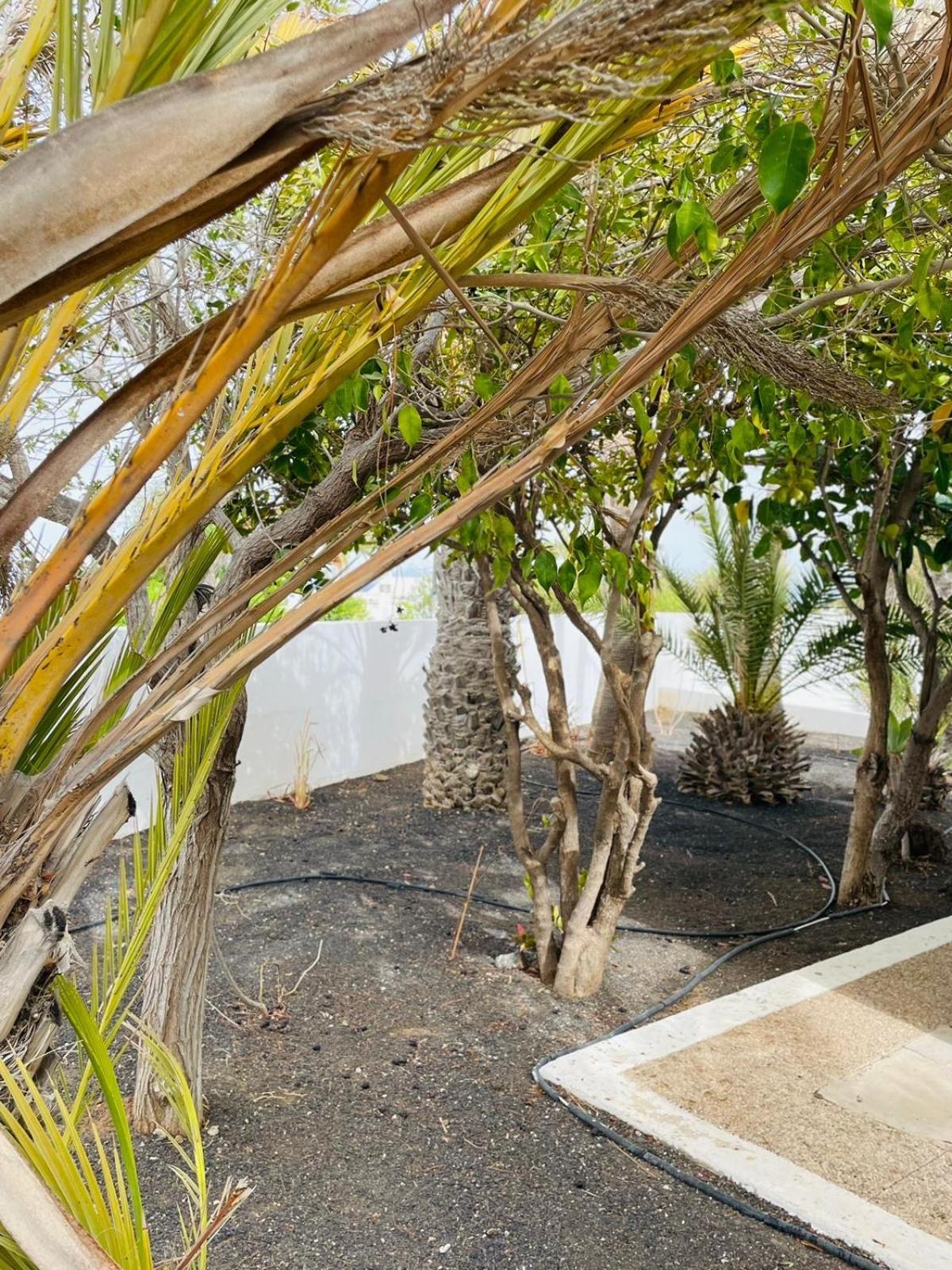Villa Rosa Puerto del Carmen  Esterno foto